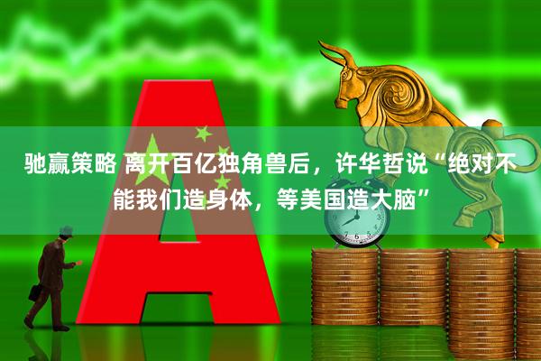 驰赢策略 离开百亿独角兽后，许华哲说“绝对不能我们造身体，等美国造大脑”