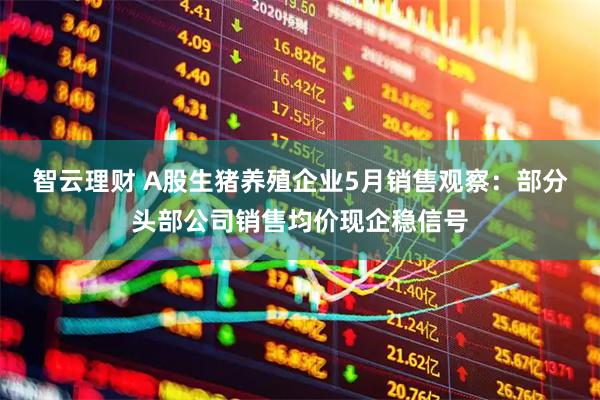 智云理财 A股生猪养殖企业5月销售观察：部分头部公司销售均价现企稳信号