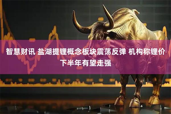 智慧财讯 盐湖提锂概念板块震荡反弹 机构称锂价下半年有望走强