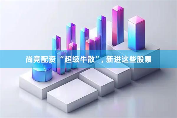 尚竞配资 “超级牛散”, 新进这些股票