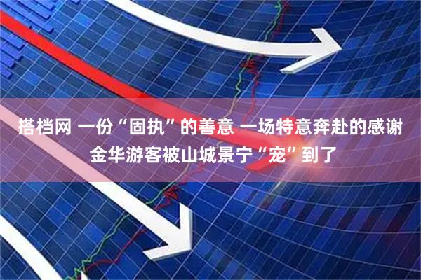 搭档网 一份“固执”的善意 一场特意奔赴的感谢 金华游客被山城景宁“宠”到了